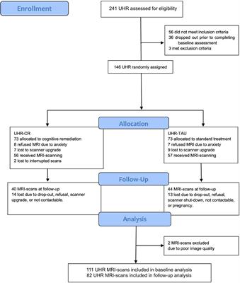 No Effects of Cognitive Remediation on Cerebral White Matter in Individuals at Ultra-High Risk for Psychosis—A Randomized Clinical Trial